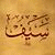 seif_naib profile picture