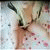 member selin_tasl