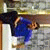 member shanif_kv