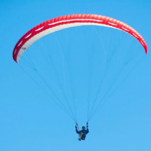skyfly876