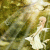 member sousou2