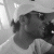 spainloco profile picture
