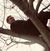 member stefan_jil
