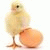 member sud_agricu