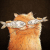 suesea profile picture