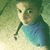 member suhaib_ham