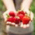 member susie_salm
