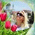 member svitlana_p3