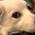 t_minh_ngo profile picture