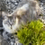 tania_amey profile picture