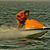 member tarek_tlay