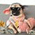 member tarit_pulp