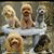 member teddy_sc