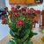 thanh_hoan profile picture