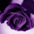 thanhphong20051 profile picture