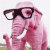 the_black_dahlia profile picture