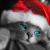 the_one profile picture