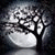 member tohin_kabi