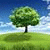 member tree_green