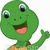 member turtle_cod