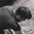 Ugurdgnr1 profile picture