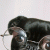 ugurp profile picture