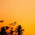 updul055 profile picture