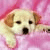 ute_koenig profile picture