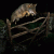 Vadimvolk96 profile picture