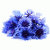 Vasilisav profile picture