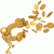 member Vasiliy828282
