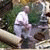 member victor_str