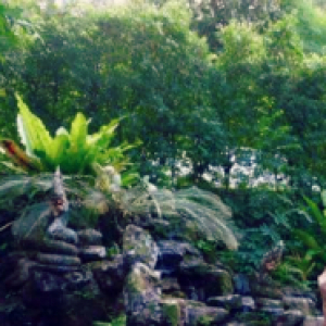 Waritsara_2526