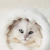 WarmWind profile picture