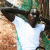 member Williamthioune