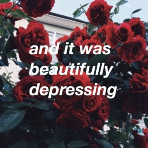 Willow_Nyx