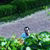 member wael_alwas