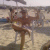 member waelbenfredj