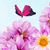 member wafa_ouesl