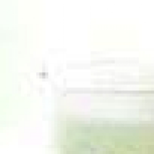 walaa_moha