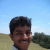 wikalp profile picture