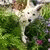 wikia_taie profile picture