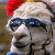 wilson8421 profile picture