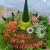 wiwik_fran profile picture