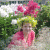 member YULIYAGUKOVA