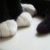 Yanqing-Zhou profile picture