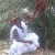 member yacoubelide