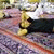 member yahia_adm
