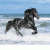 yanka-chanel profile picture