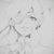 member yara_jaber